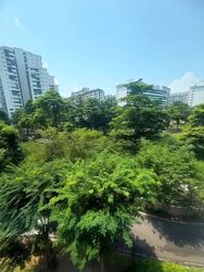 Blk 38D The River Vista @ Kallang (Kallang/Whampoa), HDB 3 Rooms #602265121